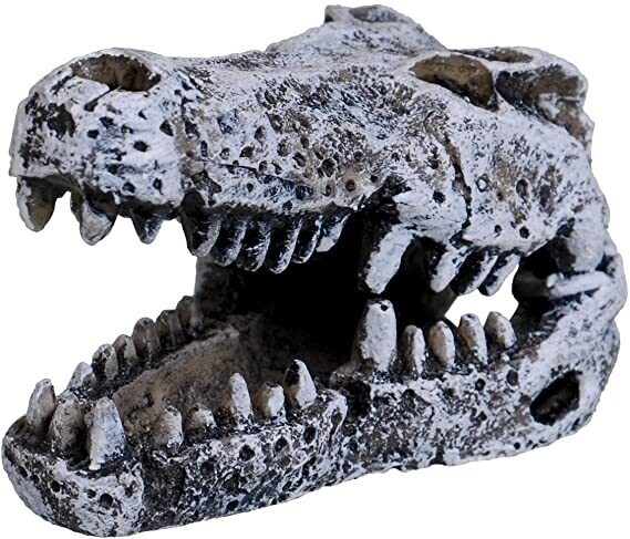 Underwater Treasures Mini Croc Skull