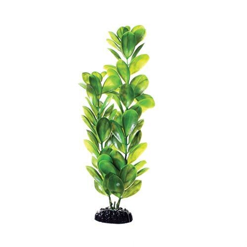 Underwater Treasures Plant Bacopa 12"