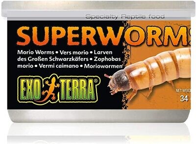EXO TERRA CANNED SUPERWORMS 34g