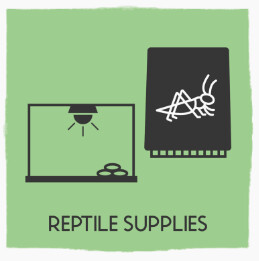 Reptile Supplies