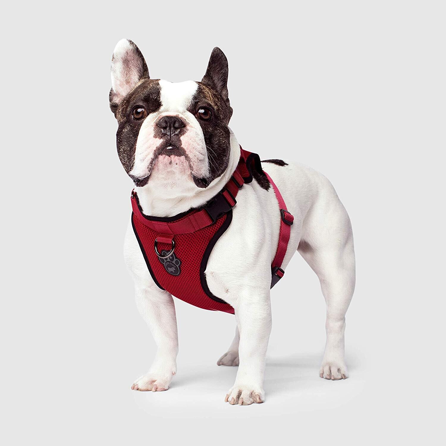 CANADA POOCH EVERYTHING HARNESS - RED SMALL