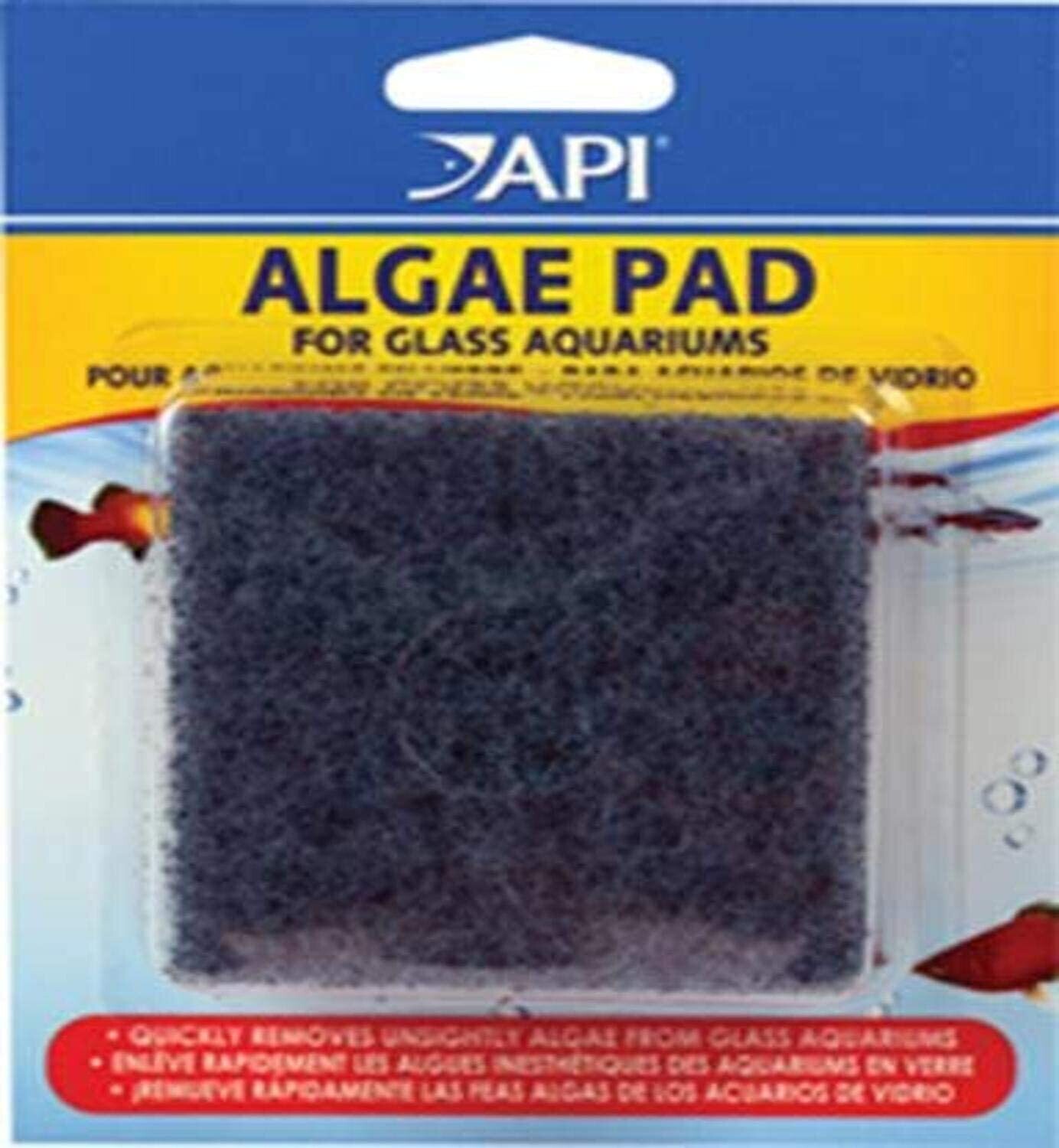API Algae Scrub GLASS