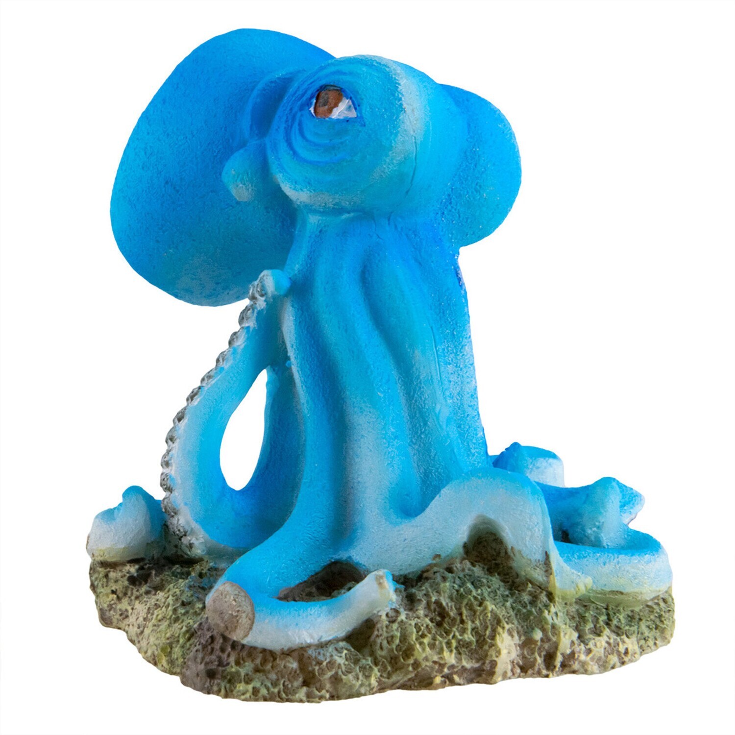 Underwater Treasures Octopus - Blue