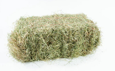 HAY COUNTRY - ORCHARD GRASS HAY 1 KG