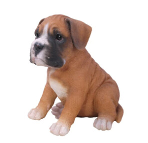 Pet Pals - BOXER PUPPY