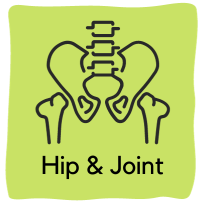 Hip & Joints