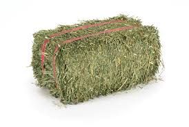 Hay Country Alfalfa