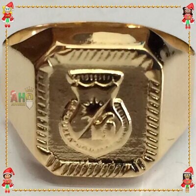 Anillo Grados Oro18k