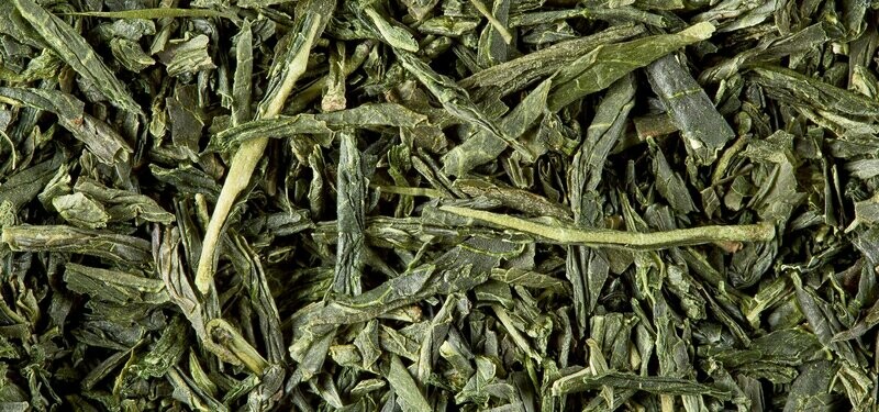 THÉ VERT - GYOKURO