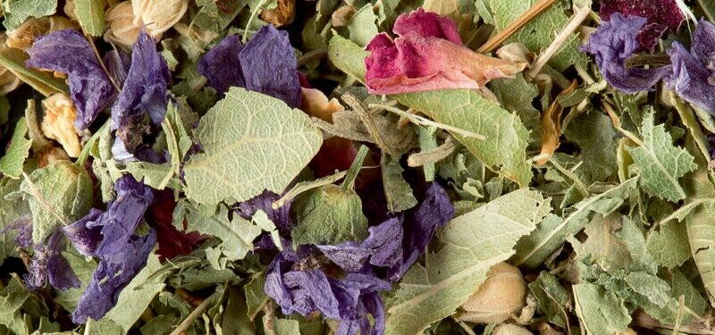 TISANE - DES MERVEILLES