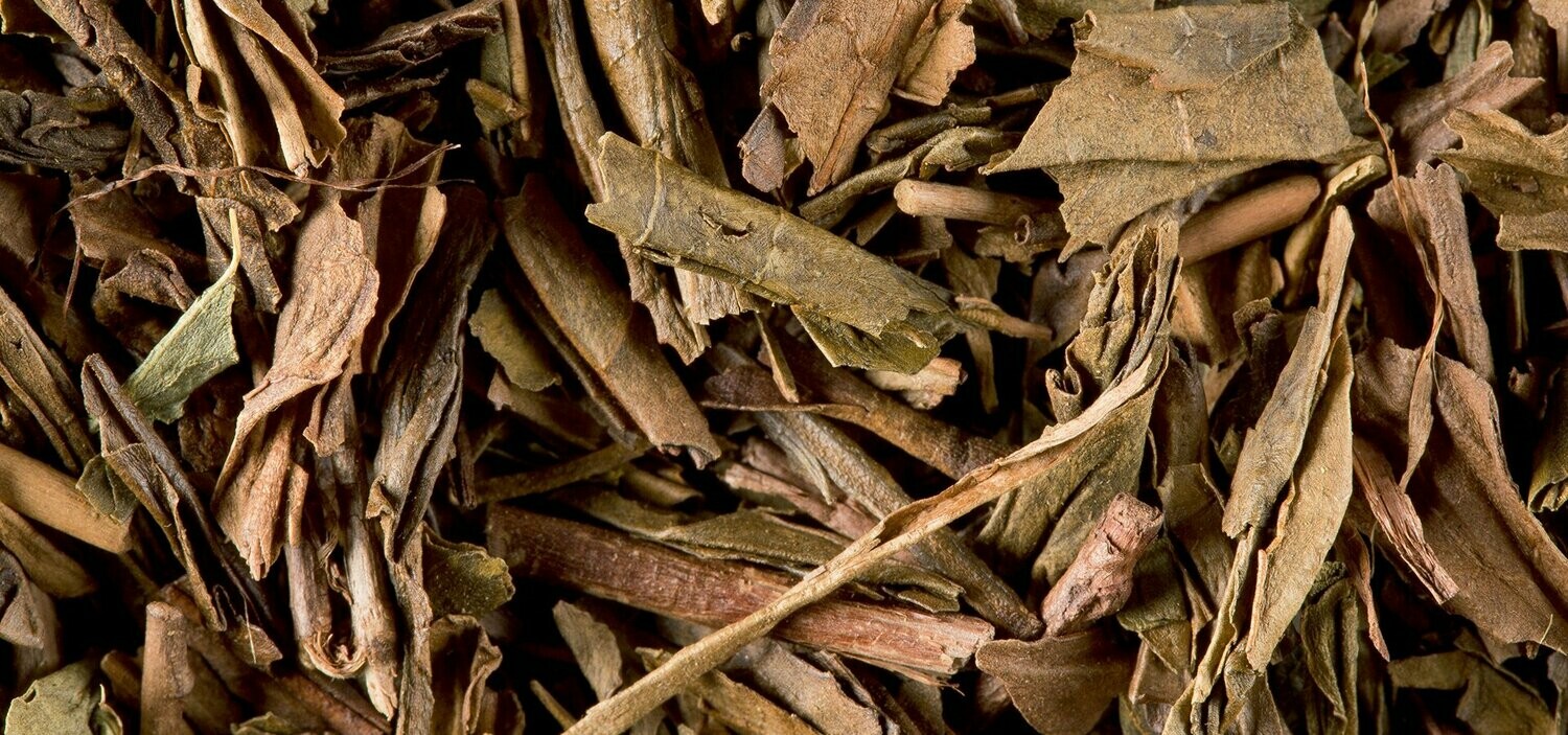 THÉ VERT - HOUJICHA