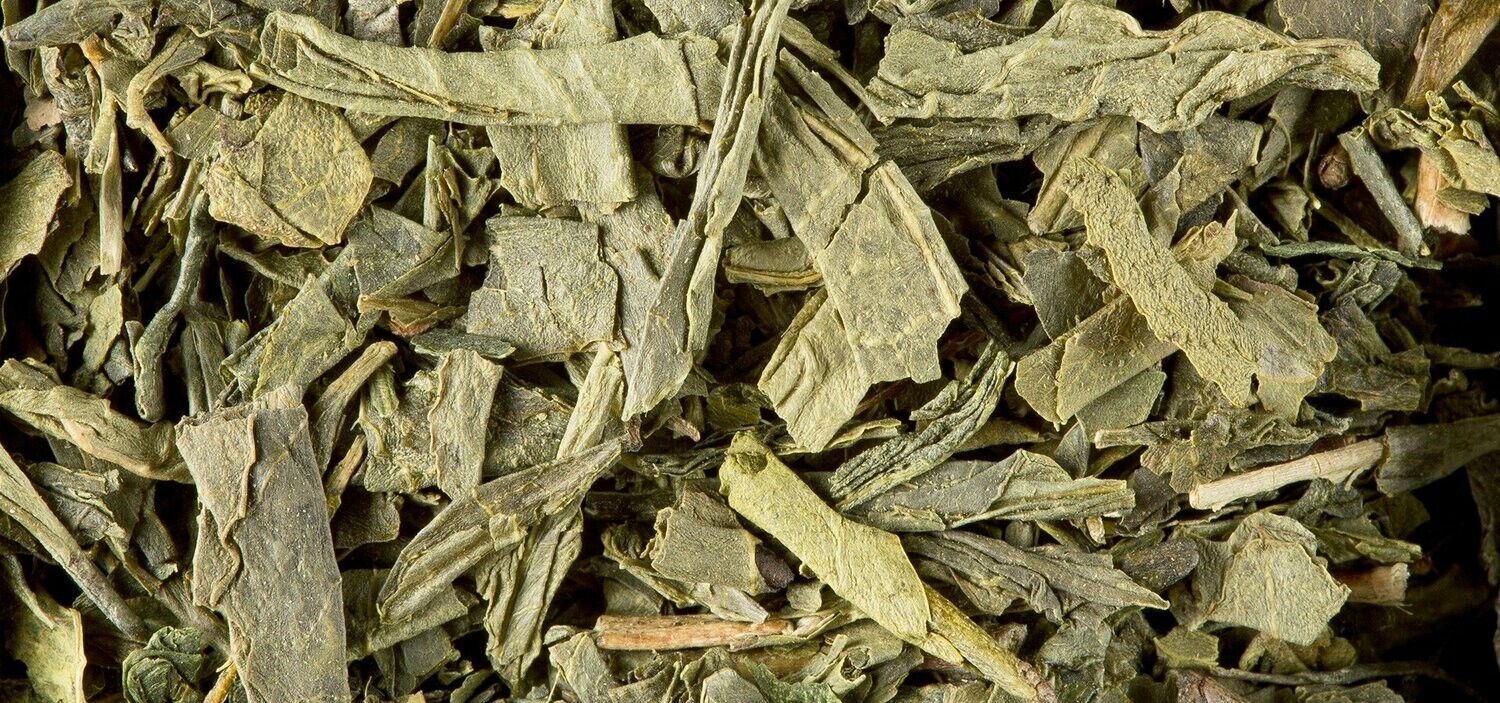 THÉ VERT - SENCHA DE CHINE