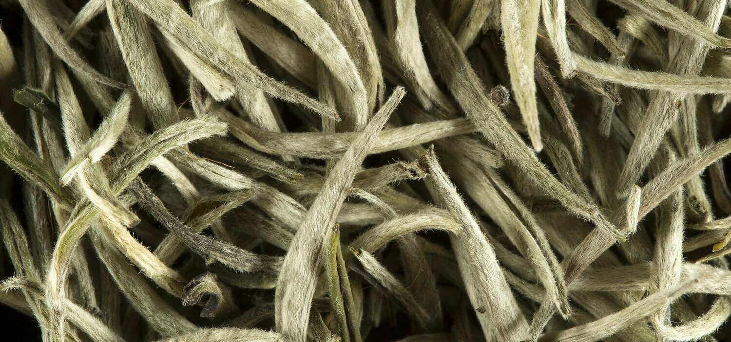 THÉ DE CEYLAN - SILVER BUDS