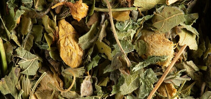 TISANE - MAGIC GINGER