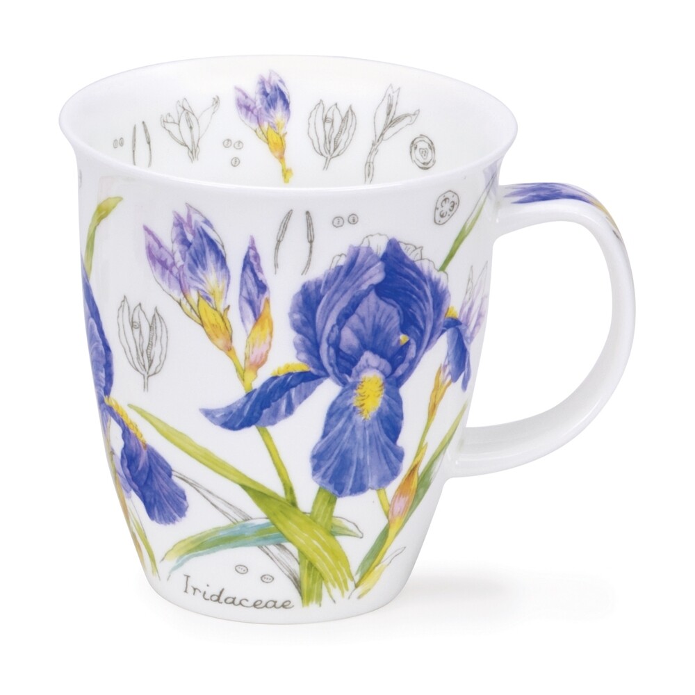 Mug Nevis Dunoon 0.48L - Floral Sketch Iris