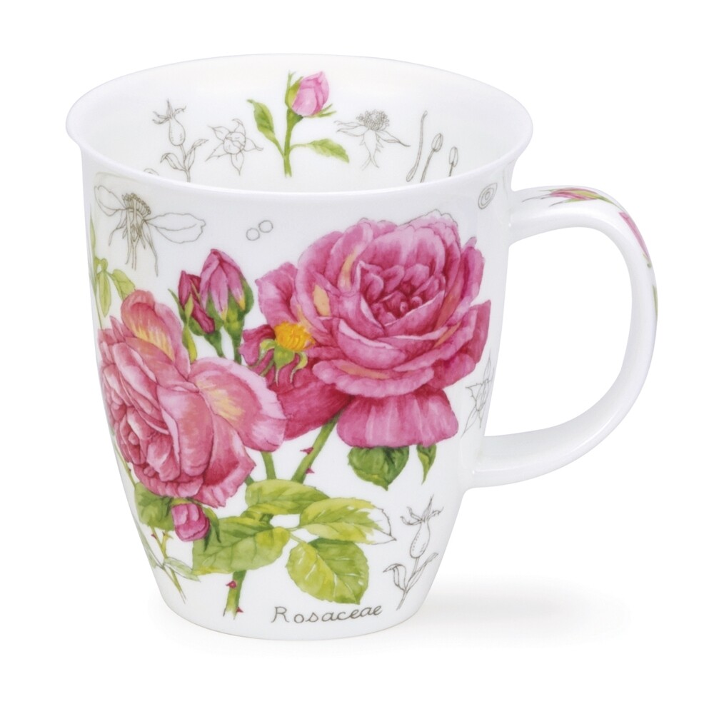 Mug Nevis Dunoon 0.48L - Floral Sketch Rose