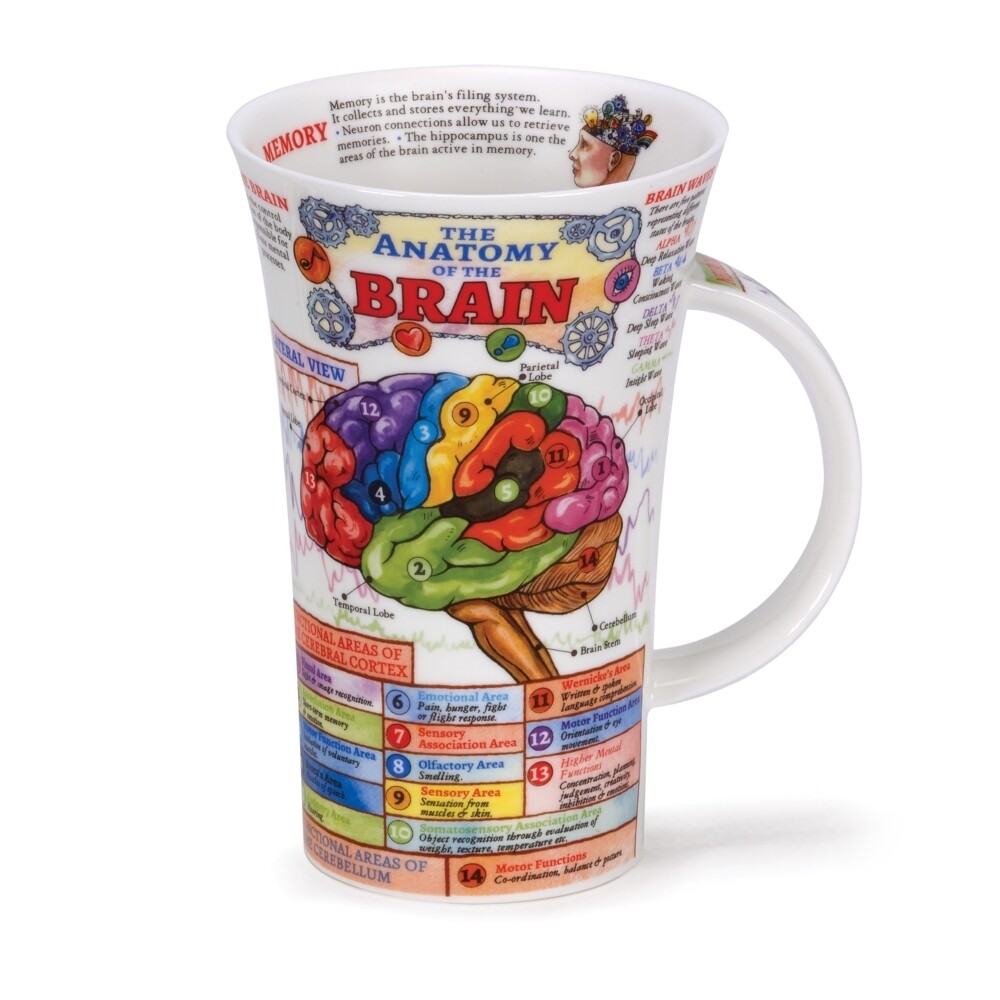 Mug Dunoon Glencoe 0.5L - The Brain