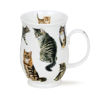 Mug Suffolk 0.31L Dunoon - Cats Tabby