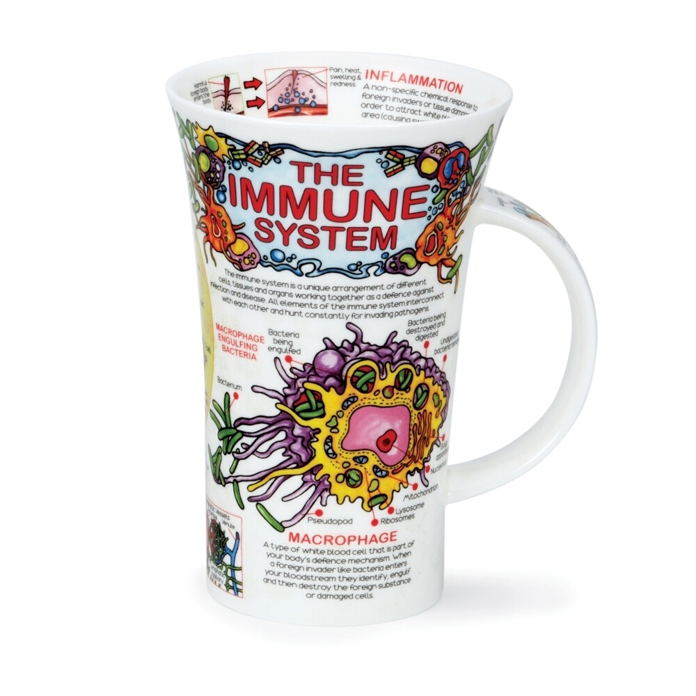 Mug Dunoon Glencoe 0.5L - The Immune System