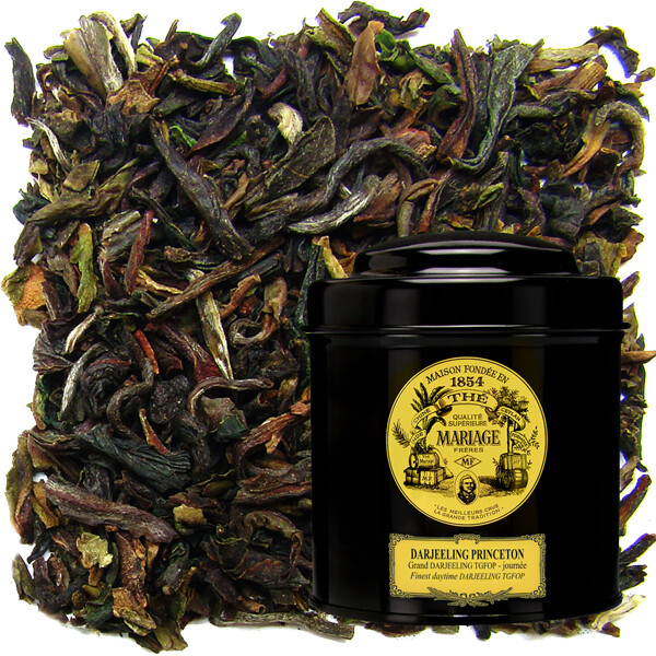 THÉ NOIR - DARJEELING PRINCETON™
