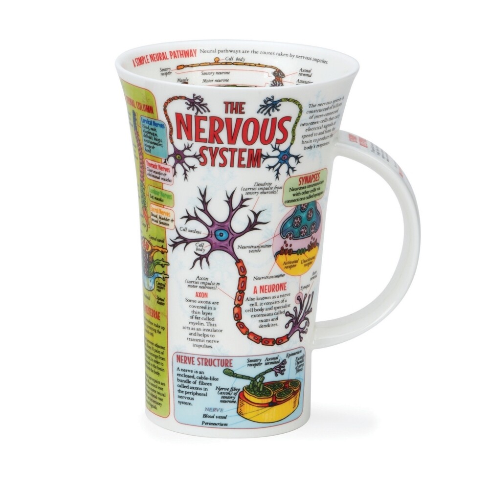 Mug Dunoon Glencoe 0.5L - The Nervous System