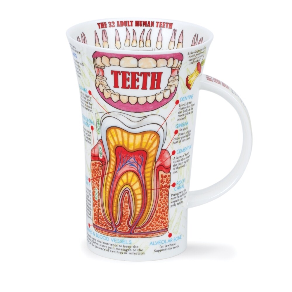 Mug Dunoon Glencoe 0.5L - Teeth