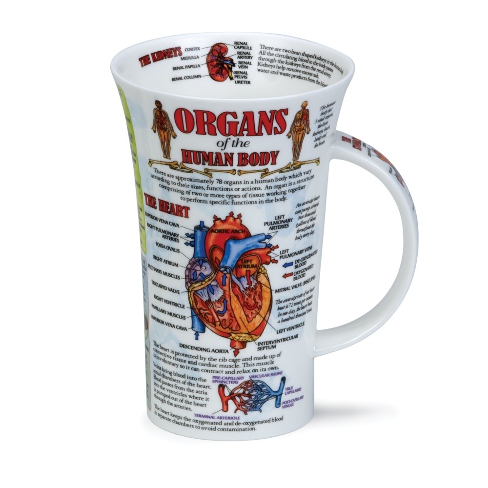 Mug Dunoon Glencoe 0.5L - Organs of the H Body