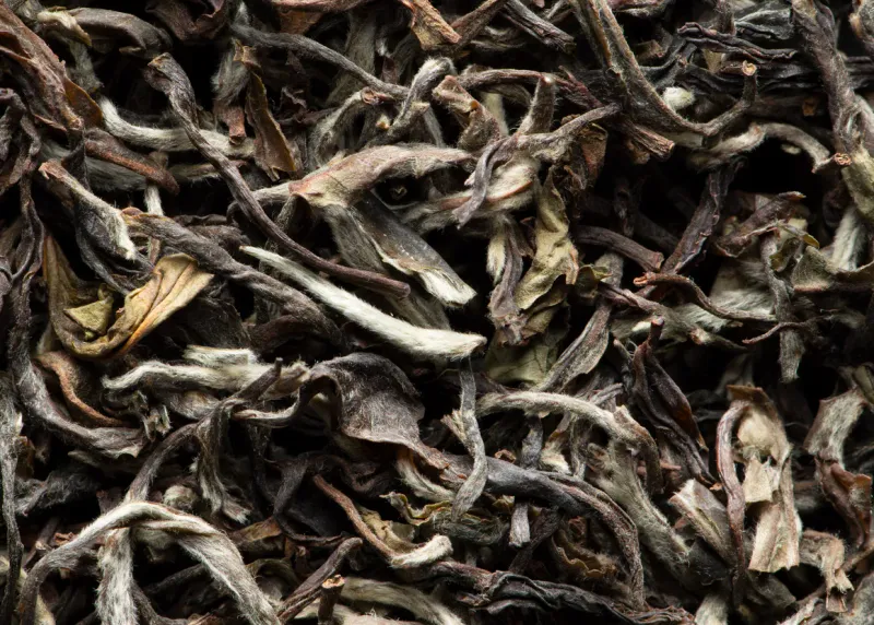 THÉ BLANC - DARJEELING CASTLETON MOONLIGHT