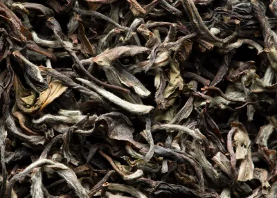 THÉ BLANC - DARJEELING CASTLETON MOONLIGHT
