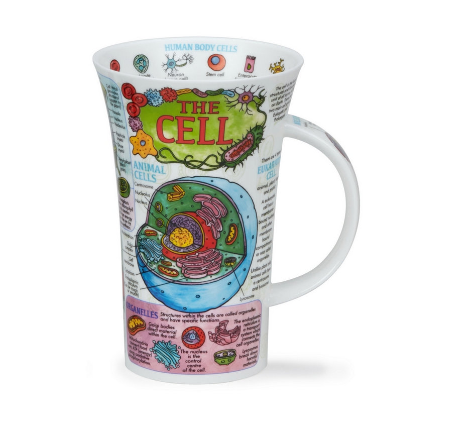 Mug Glencoe 0,5L -Dunoon - THE CELL