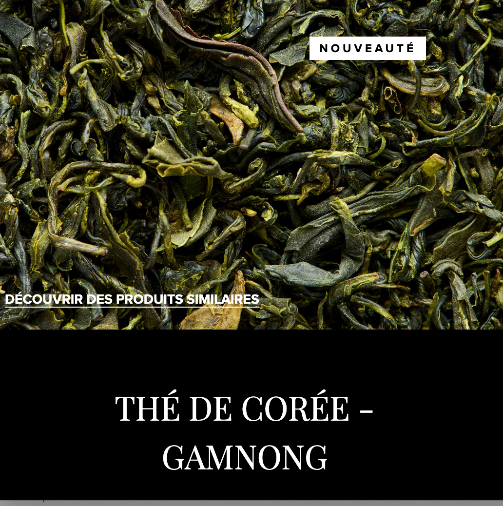 THE VERT - GAMNONG