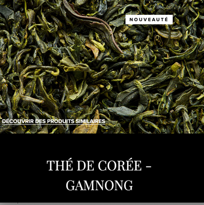 THE VERT - GAMNONG