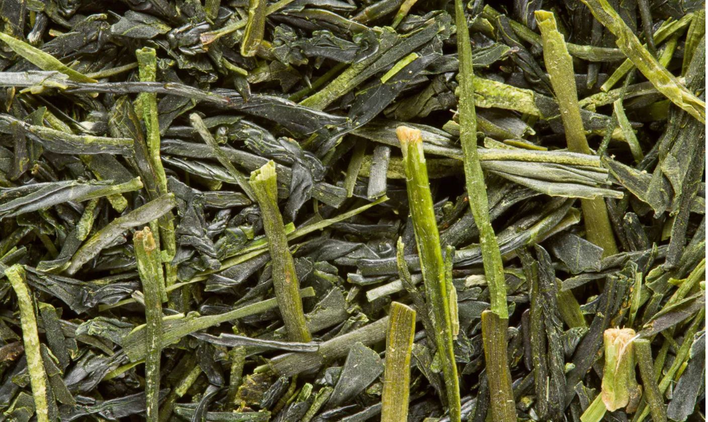THÉ VERT - SENCHA TENSU