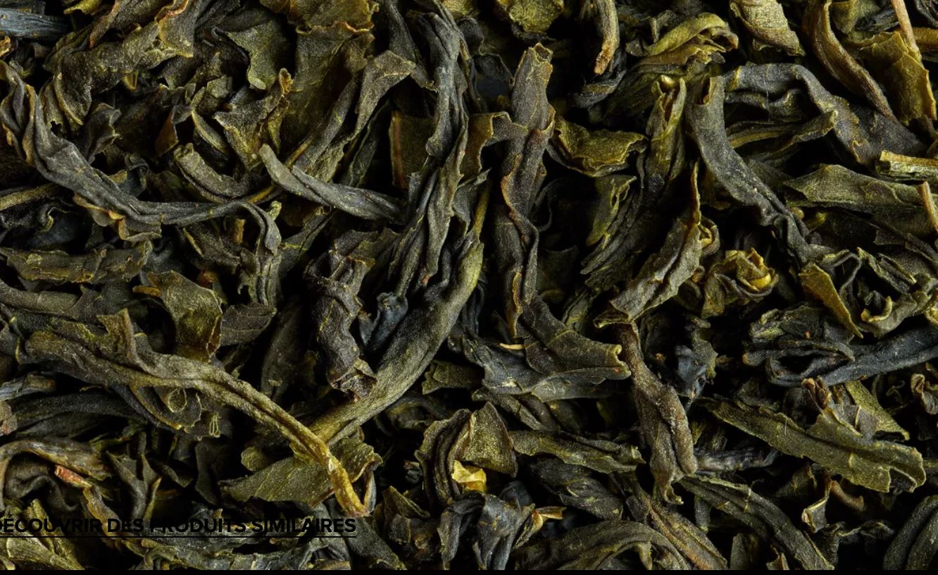 THE VERT - VANILLA TWIST THE VERT - VANILLA TWIST