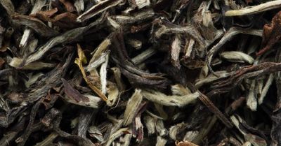 SINGBULLI DARJELLING 1ST FLUSH - GRAND CRU 2025