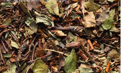 INFUSION LUCKY THYME