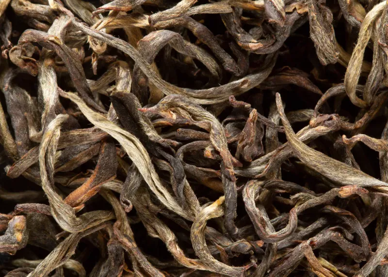 THÉ VERT - VALLÉE D'OR