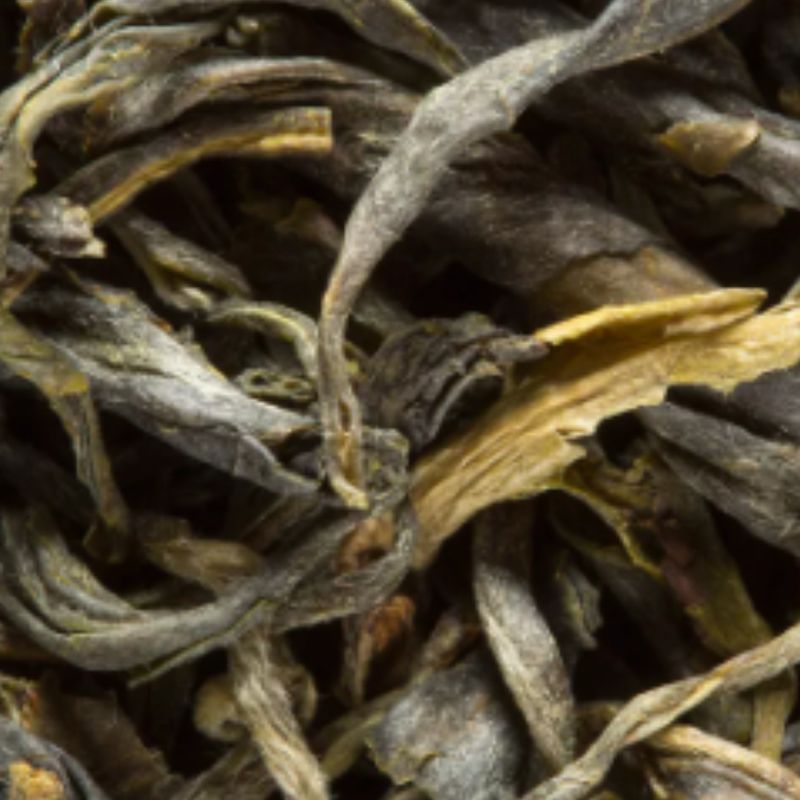 Gu Zhang Mao Jian - Thé Vert