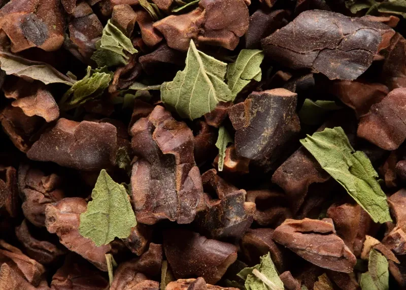 INFUSION - CACAO MENTHE INFUSION - CACAO MENTHE