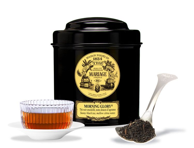 THÉ NOIR - MORNING GLORY® THÉ NOIR - MORNING GLORY®