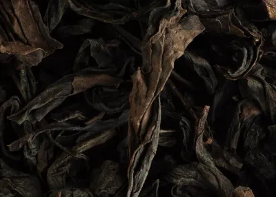 THÉ OOLONG - DA HONG PAO