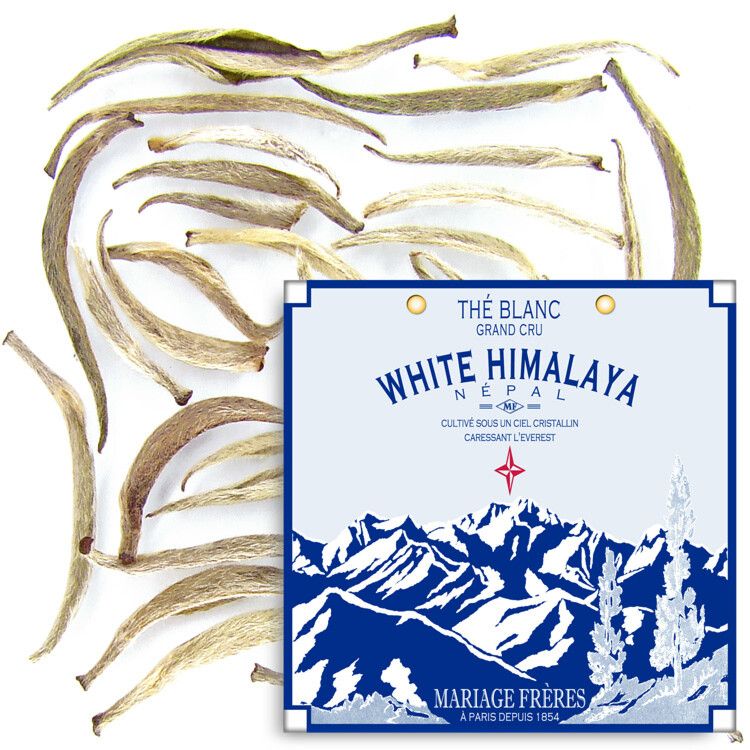 WHITE HIMALAYA® - Thé blanc