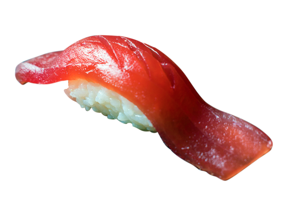 Maguro / Thunfisch