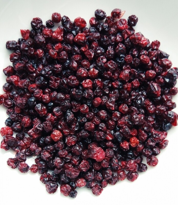 Sibecolavka