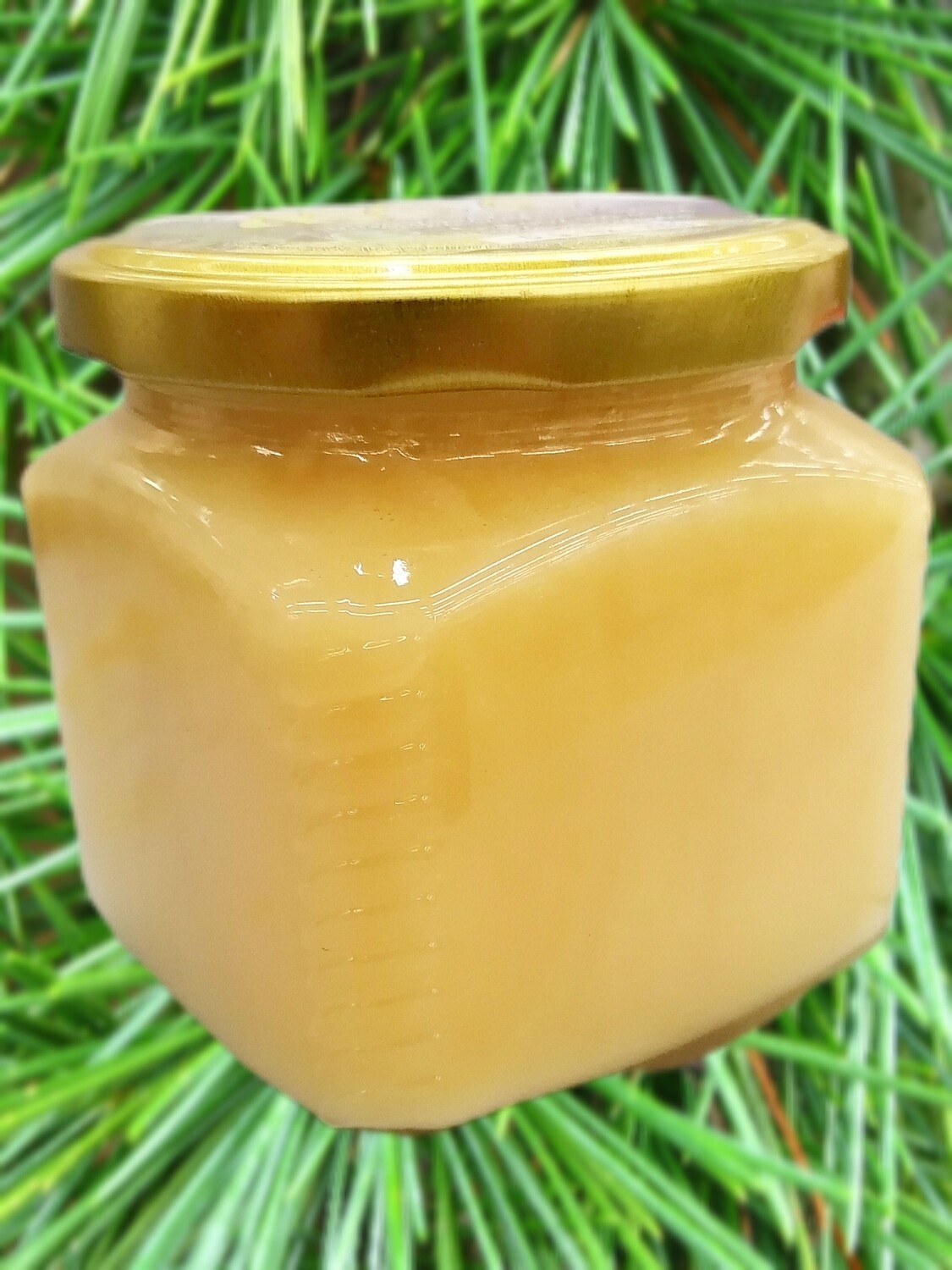 Мёд высокогорный, 600 грамм