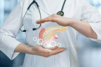 Pancreas e Milza