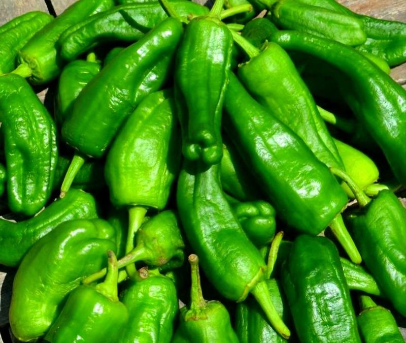 Pimientos del Padrón