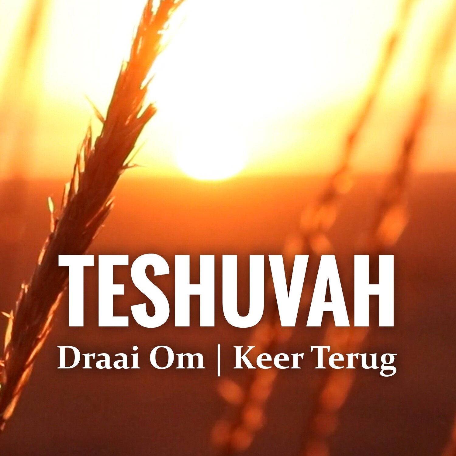 (PDF) TESHUVAH (Draai Om| Keer Terug) Gebed - Past. Frik Weideman