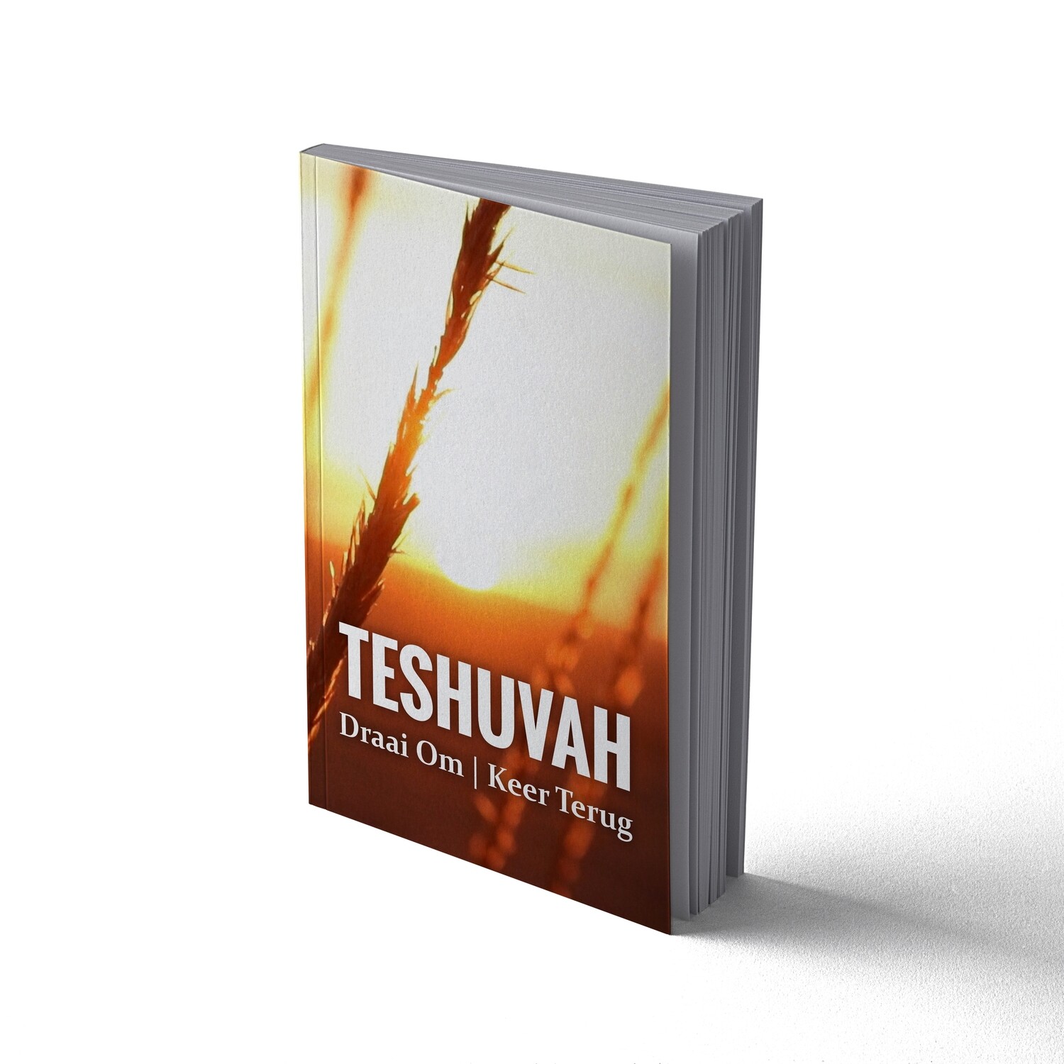 (PDF) TESHUVAH (Draai Om| Keer Terug) Gebed - Past. Frik Weideman