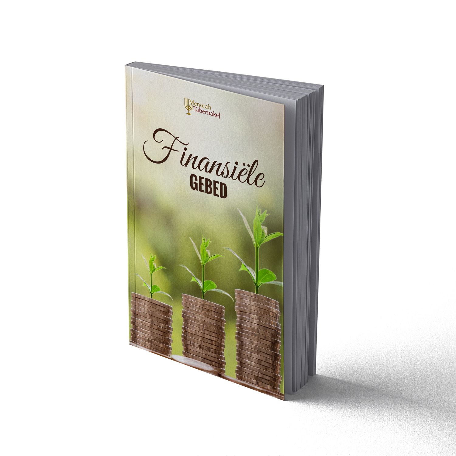 (PDF) Finansiële Gebed - Amelia Weideman